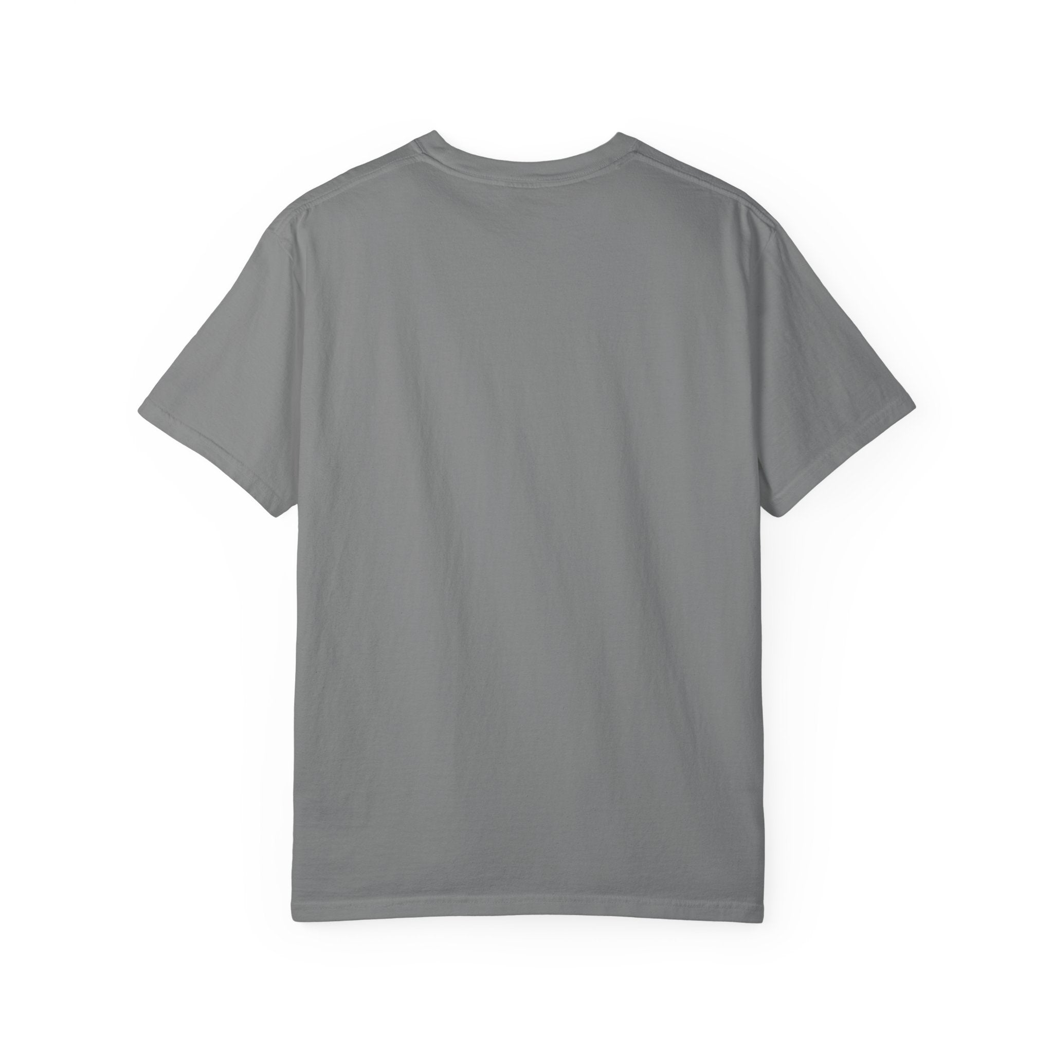 Lion Portrait T-Shirt — Majestic Lion Graphic Tee